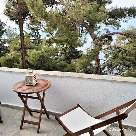 Pine Trees And Sea View Houses In Hydra - Daphne, Chloe, Myrto, Eleni Chambre photo