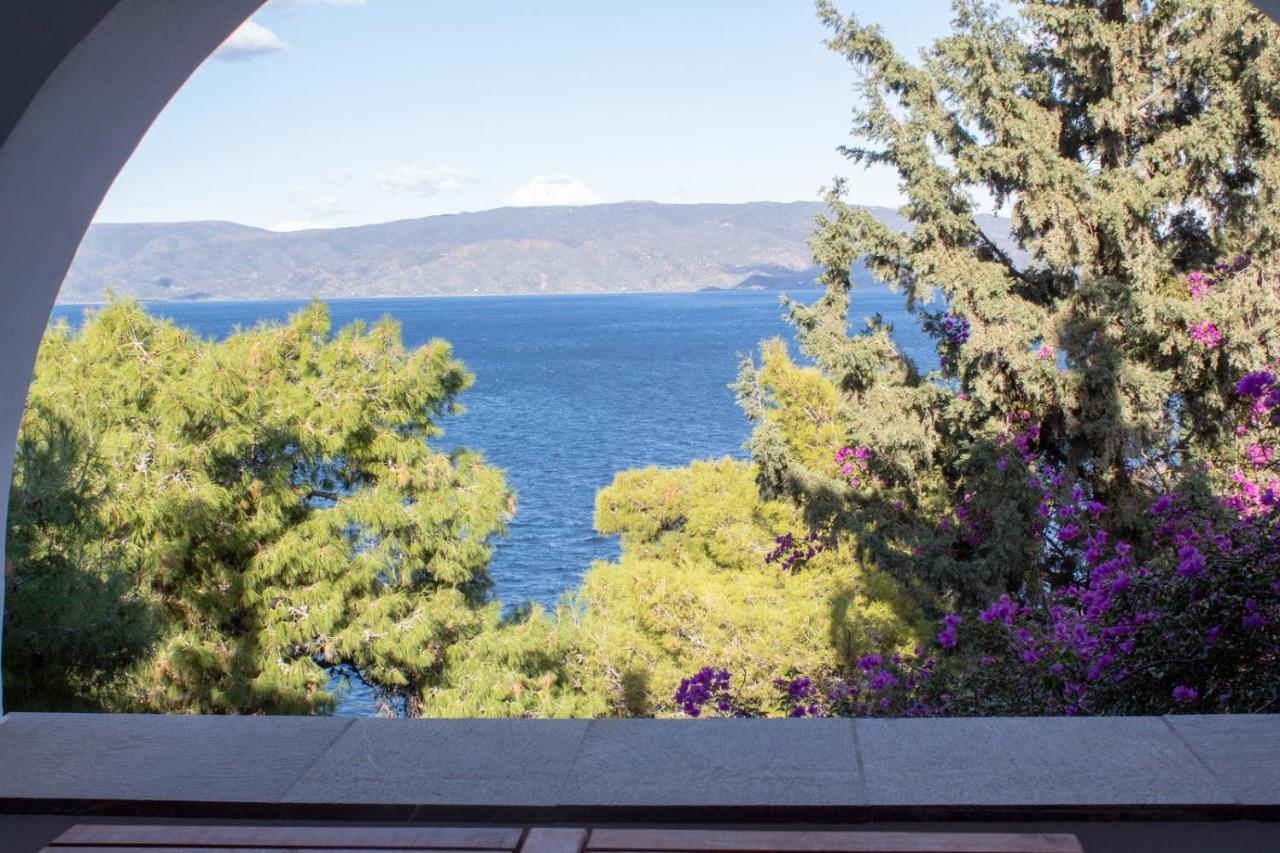 Pine Trees And Sea View Houses In Hydra - Daphne, Chloe, Myrto, Eleni Extérieur photo