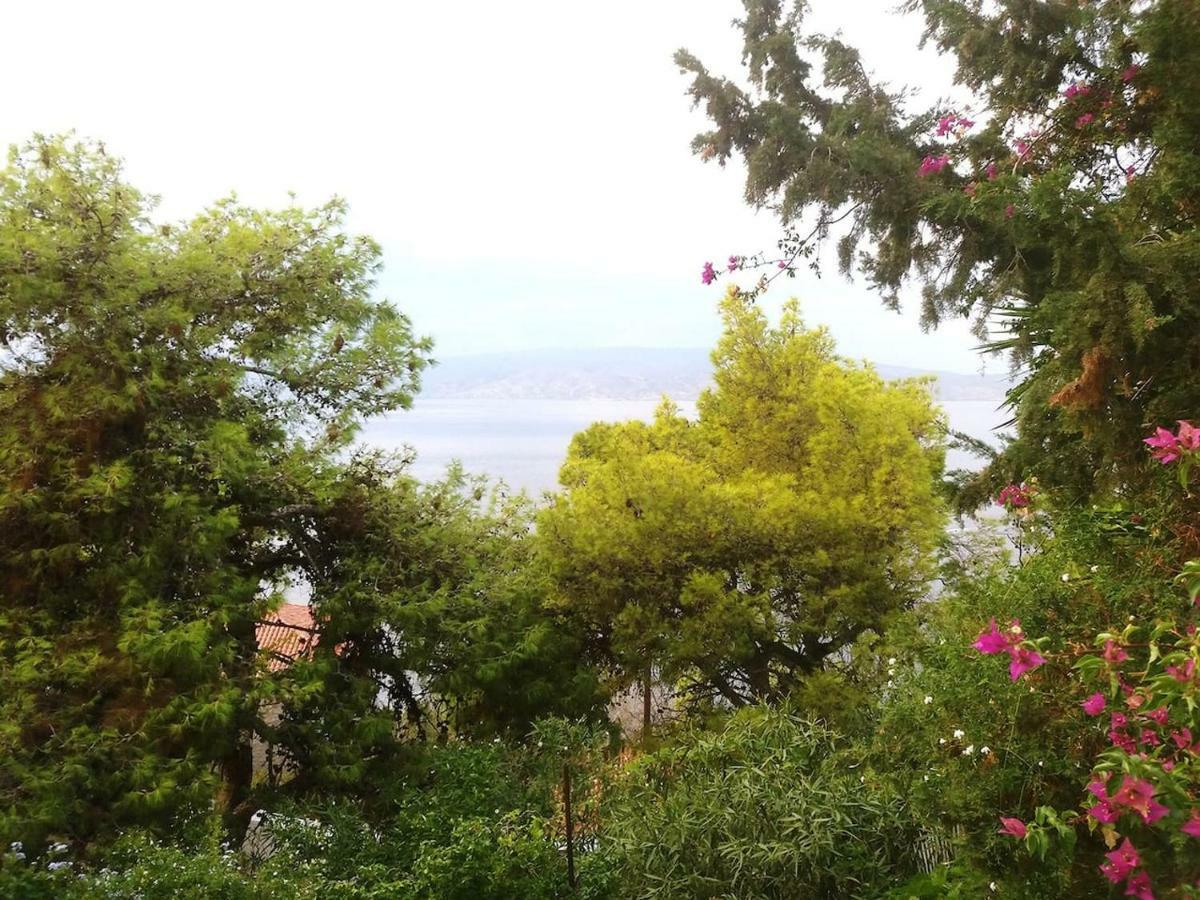 Pine Trees And Sea View Houses In Hydra - Daphne, Chloe, Myrto, Eleni Extérieur photo