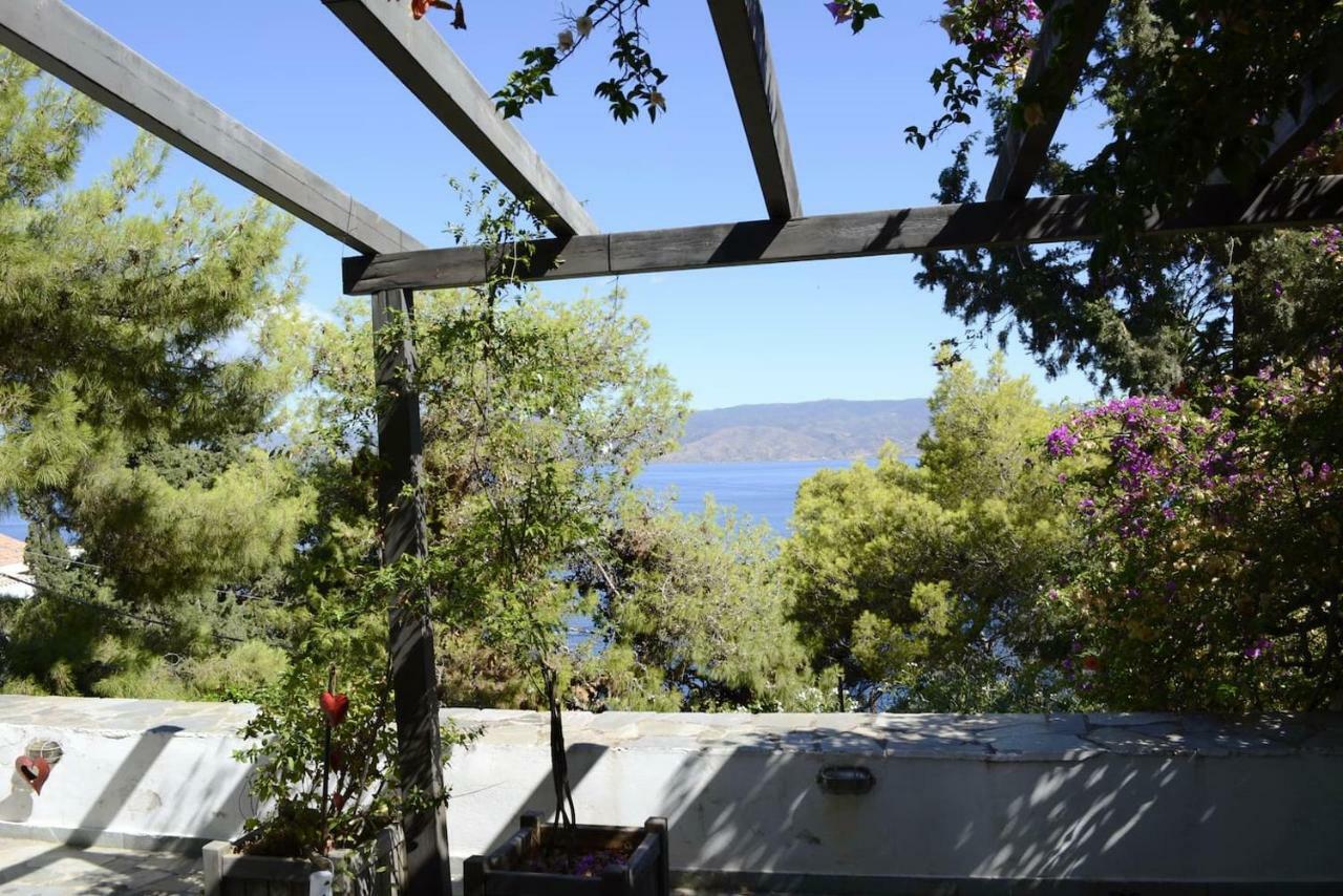 Pine Trees And Sea View Houses In Hydra - Daphne, Chloe, Myrto, Eleni Extérieur photo